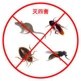 深圳白蟻防治費收費標準