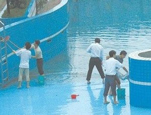 深圳市光明區水池清洗處理公司學校自來水水箱清洗游泳池魚池消毒清洗服務