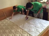 深圳專業清洗布藝沙發,床墊除螨蟲,干洗窗簾,軟包床頭清洗服務